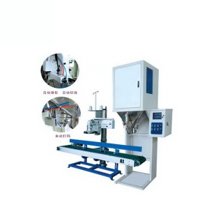 Single Head Quantitative Packaging Scale DCS-A