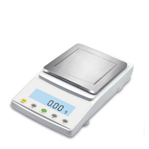 High Precision Electronic Balance ELC-H