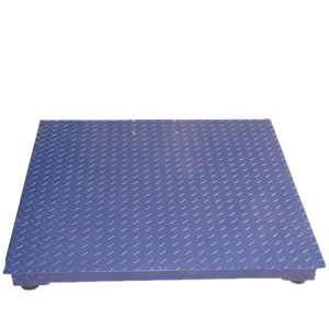 Single Deck Floor Platform Weighing Scales FS01