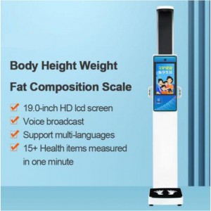 Body Height Weight BMI Fat Composition Scale HS-V19BF