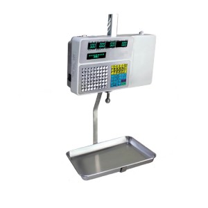 Barcode Label Hanging Scale with Printer LP-N