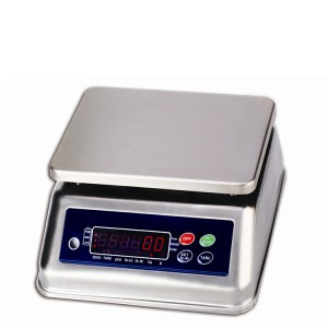 IP68 Stainless Steel Super Water Proof Weighing Scales WP-SS
