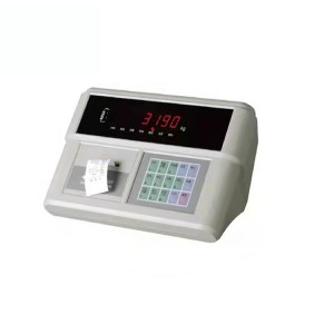 Weighing Indicators XK3190-A9+B4P with Printer